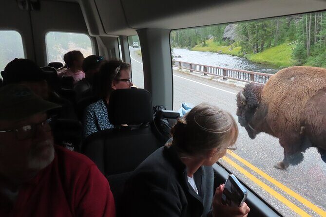 Upper Loop Tour and Lamar Valley from West Yellowstone with Lunch - The Bottom Line