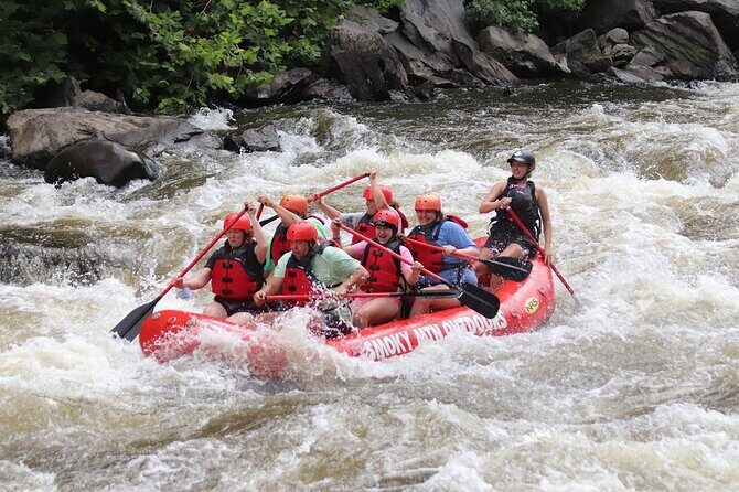 Upper Pigeon River Rafting Trip from Hartford - Who is this trip perfect for?