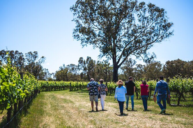 Upper Reach Winery: Swan Valley Winery and Vineyard Tour - Who Will Love This Tour?