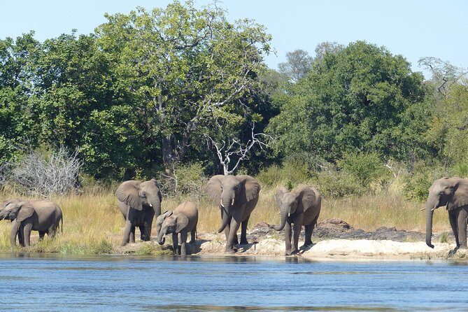 Upper Zambezi Canoeing - The Day Unfolds: What to Expect