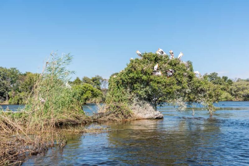 Upper Zambezi Raft Float - FAQs