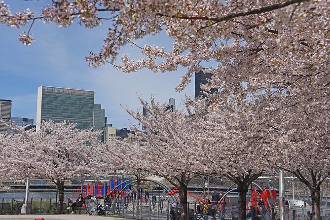 Uptown to Midtown Roosevelt island tour - Exploring the Itinerary in Detail