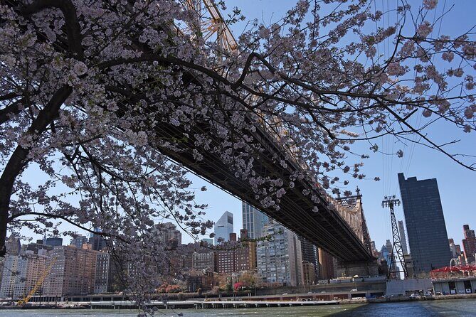 Uptown to Midtown Roosevelt island tour - Practical Considerations