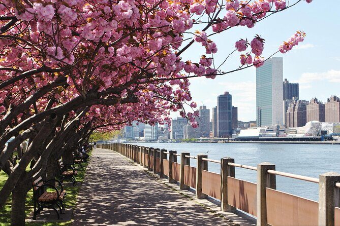 Uptown to Midtown Roosevelt island tour - Who Is This Tour Best For?