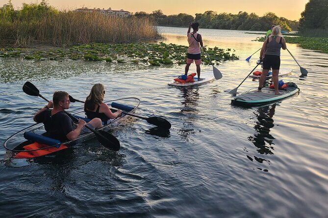 Urban Clear Kayak or Clear Paddleboard in Paradise: Morning/Night - Why This Tour Stands Out