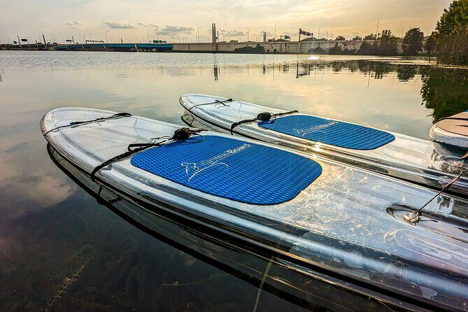 Urban Clear Kayak or Clear Paddleboard in Paradise: Morning/Night - Who Will Love This Experience?