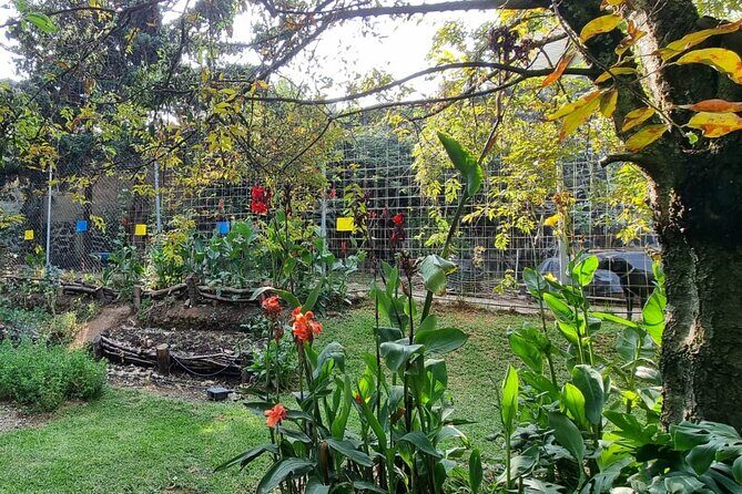 Urban Orchard in Desierto de los Leones in Mexico City - Authenticity and Reviews: The Words of Past Participants