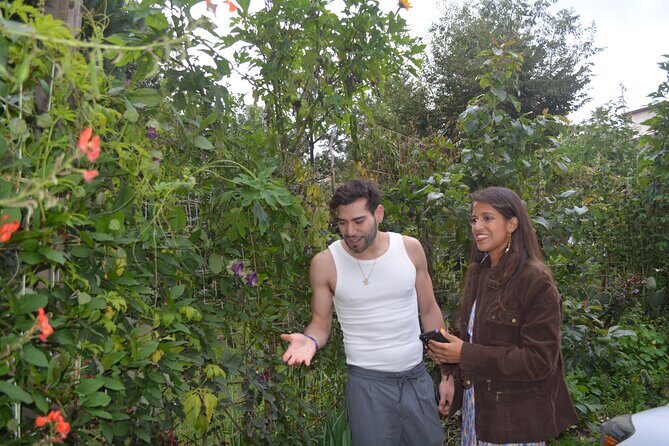 Urban Orchard in Desierto de los Leones in Mexico City - The Sum Up