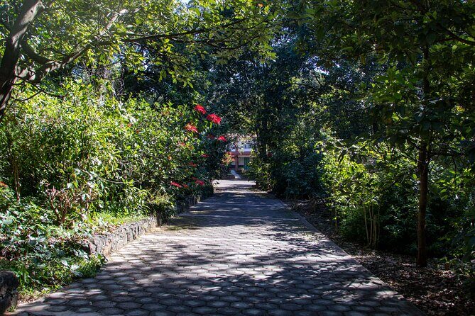 Uruapan Tour and Avocado Garden with Breakfast - Introduction