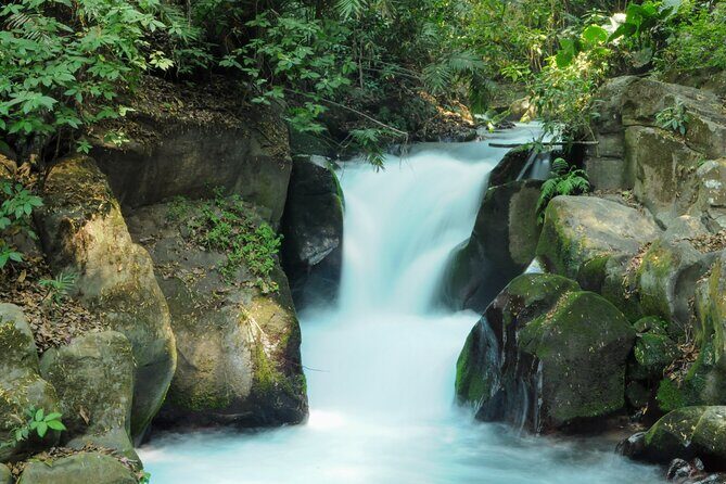 Uruapan Tour - Discovering Uruapan: A Full Breakdown of the Experience