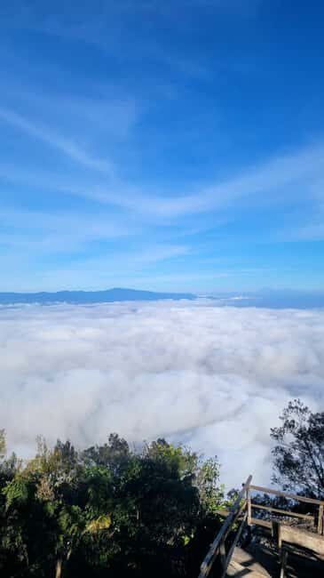 USAMBARA: 4-Day Usambara Mountains Trekking Tour - Key Points