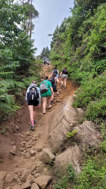 USAMBARA: 4-Day Usambara Mountains Trekking Tour - Final Thoughts: Who Will Love This Trek?