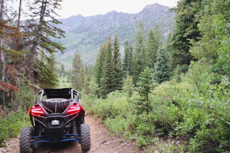 Utah: Guided UTV Tour with Local Expert - Who Will Love This Tour?