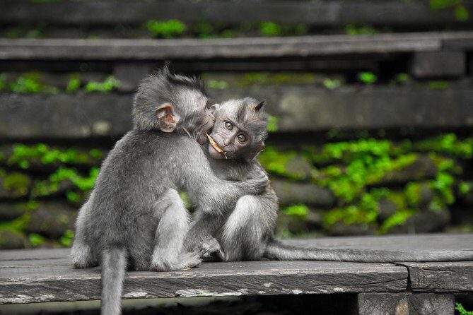 Utterly Ubud - Frequently Asked Questions