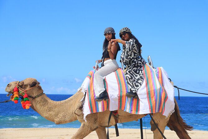 UTV Adventure + Free Camel Ride & Sky Bikes - Pricing & Value: Is It Worth It?