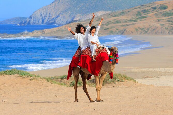 UTV Adventure + Free Camel Ride & Sky Bikes - FAQ