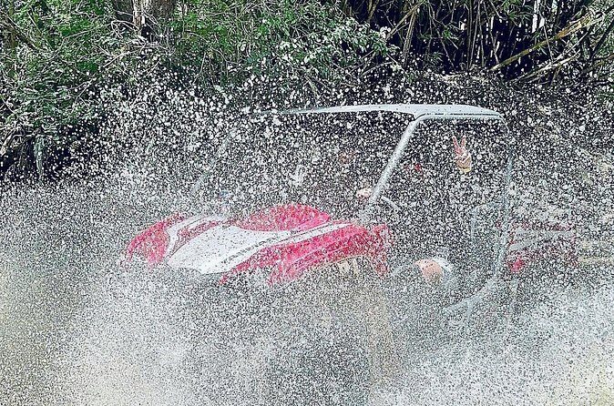UTV adventure in Naguabo Puerto Rico 50 minutes trip 80 acres - Who Will Love This Tour?