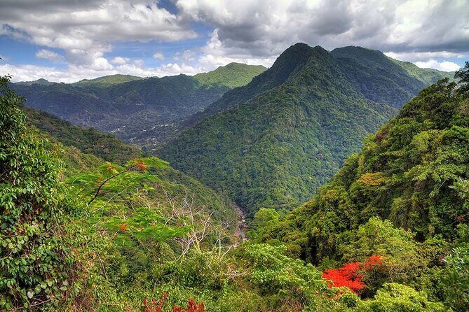 UTV and Can-Am Sightseeing Tours in Puerto Rico - Our Balanced Take