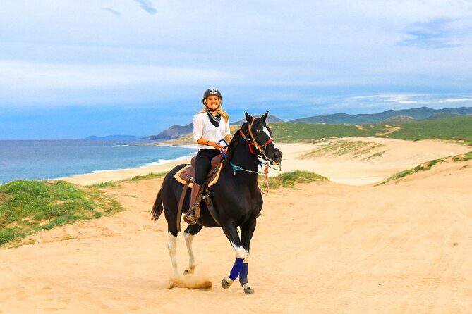 UTV, Free Horseback Ride & Sky Bikes Adventure Combo - Exploring Baja’s Desert and Canyons by UTV
