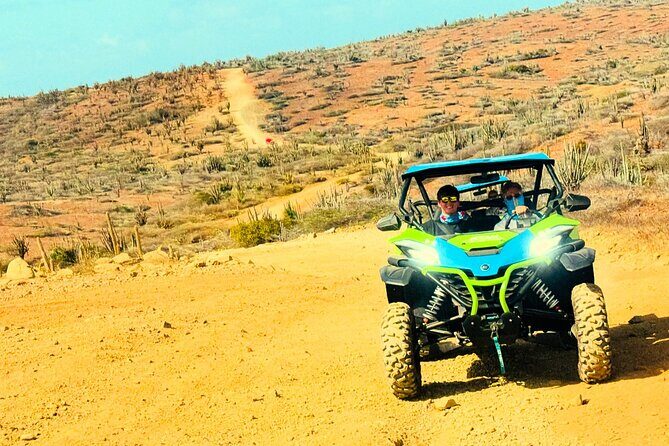 UTV Morning Tour: Discover Aruba's Hidden Treasures - Who Should Book This Tour?