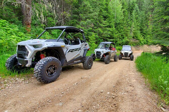 UTV Rental in North Idaho - Who Will Enjoy This?