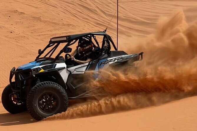 UTV Valley Of Fire Exploration Full Day Tour - What to Expect on the Day