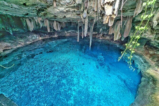Uxmal and Cenotes Tour from Mérida. Typical Lunch Included - Key Points
