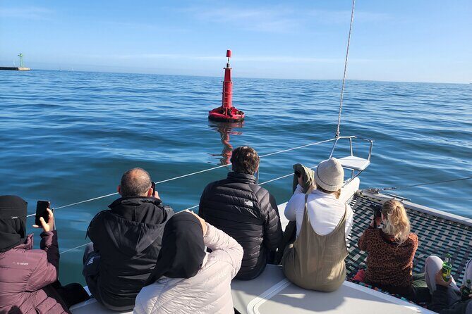 V&A Waterfront Marine Big 5 Ocean Safari - The Sum Up: Is It Worth It?