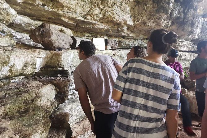 Valladolid Mayan Bees Tour with Lunch or breakfast and Honey Tasting - Why This Tour Offers Great Value