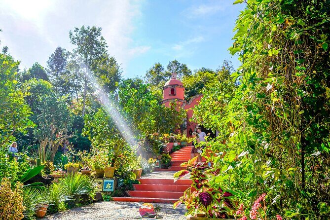 Vallarta Botanical Garden: Private Day Trip of Flora & Fauna - An In-Depth Look at the Vallarta Botanical Garden Private Day Trip