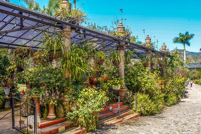 Vallarta Botanical Garden: Private Day Trip of Flora & Fauna - The Journey Begins: From Puerto Vallarta to Nature’s Heart