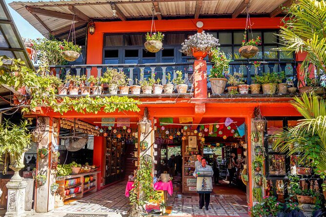 Vallarta Botanical Garden: Private Day Trip of Flora & Fauna - Returning to Puerto Vallarta: Scenic and Relaxed
