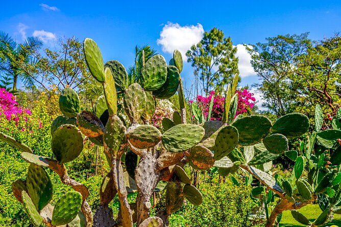 Vallarta Botanical Garden: Private Day Trip of Flora & Fauna - What’s Included and What’s Not