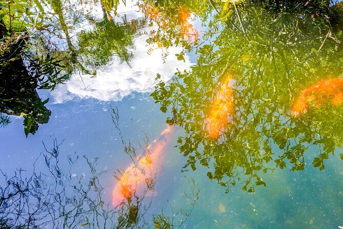 Vallarta Botanical Garden: Private Day Trip of Flora & Fauna - The Experience in Perspective: What Travelers Say