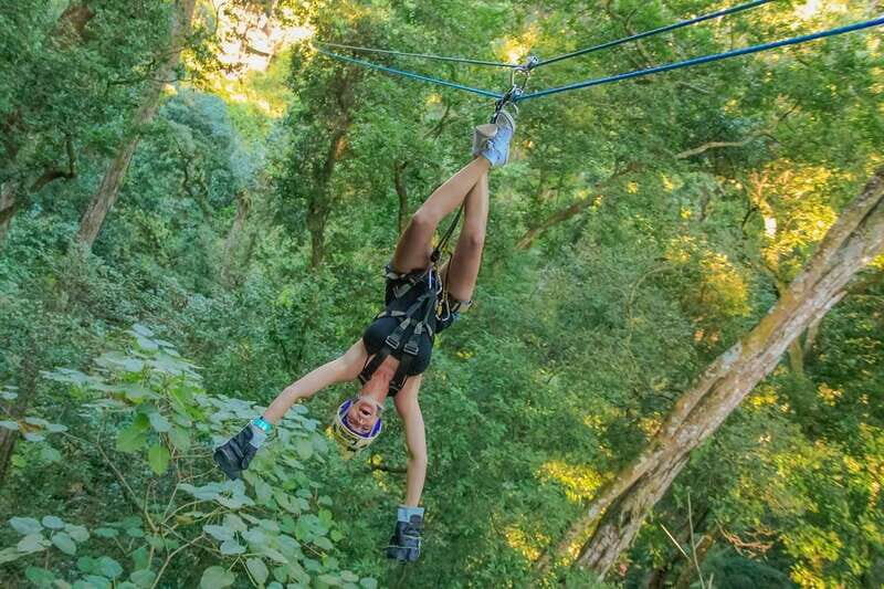 Vallarta: Xtreme Adventure, Indoor Skydive, Rappel, UTV - Key Points
