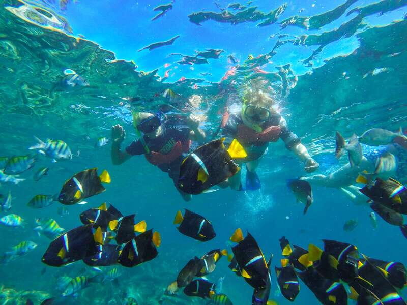 Vallarta: Yelapa Waterfall & Majahuitas Snorkel Adventure - Value for Money and Practical Tips