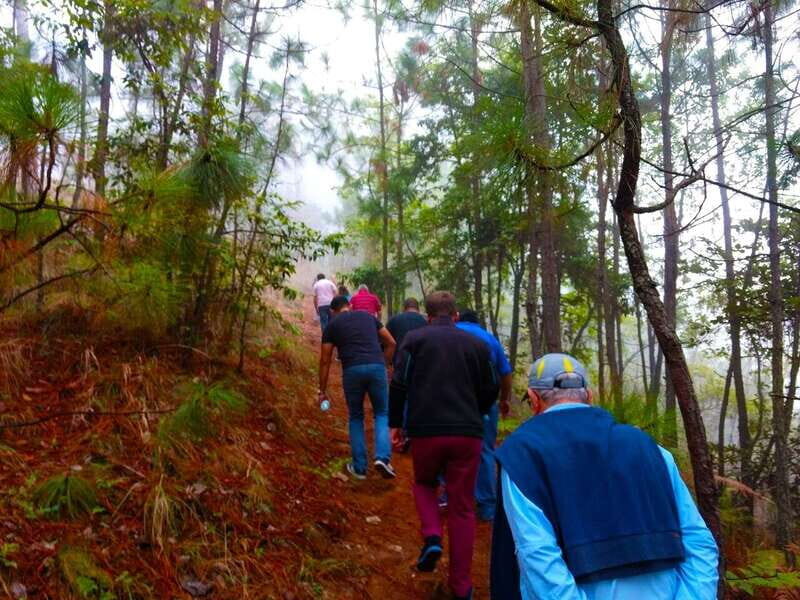 Valle de Bravo: Forest Hiking Adventure - An Authentic Forest Adventure Close to Valle de Bravo