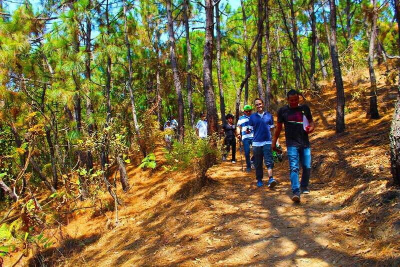 Valle de Bravo: Forest Hiking Adventure - Practical Tips for Participants