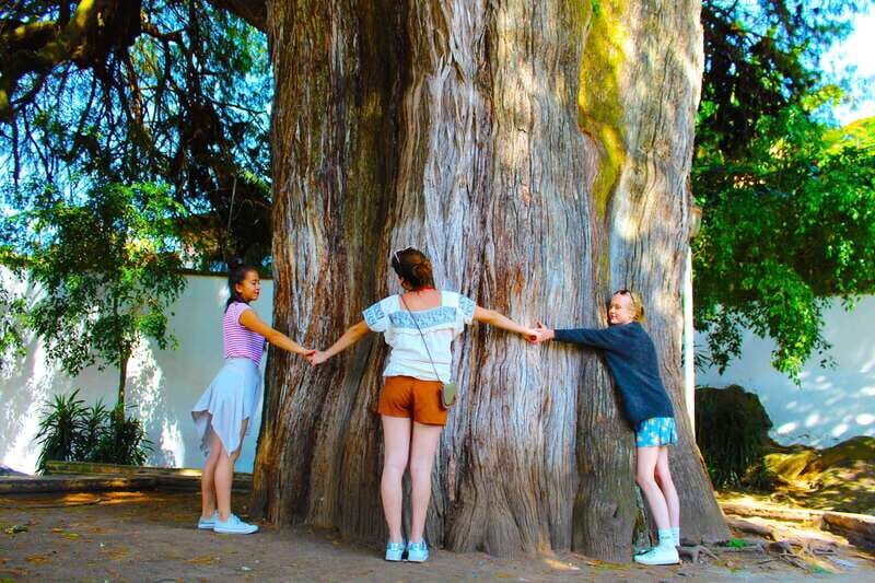 Valle de Bravo: Half-Day Guided City Tour by Van - Transportation and Practical Details