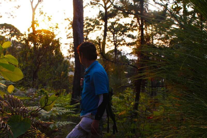 Valle de Bravo: Magical night at the forest - The Hike and Viewpoint