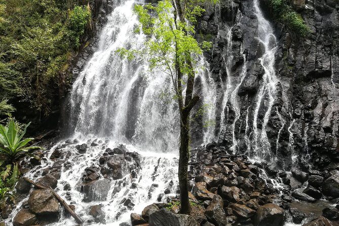 Valle de Bravo: Private & Small group tour from Mexico City - Final Thoughts