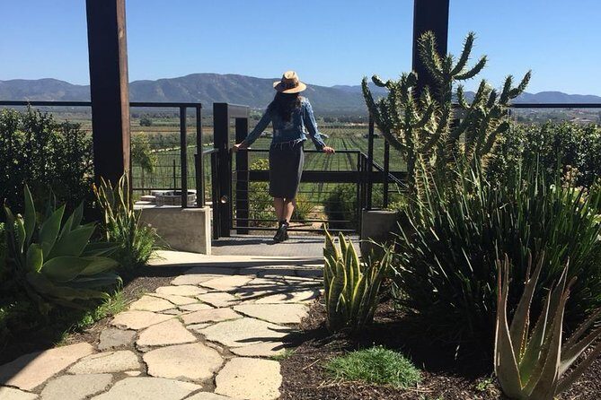 Valle de Guadalupe COUPLES wine tasting for 2 - A Detailed Look at the Tour Itinerary