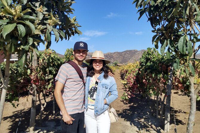 "Valle de Guadalupe", Live, Enjoy and Meet the Golden Valley - What Travelers Can Expect