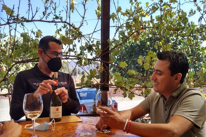 "Valle de Guadalupe", Live, Enjoy and Meet the Golden Valley - The Value and Who It’s For