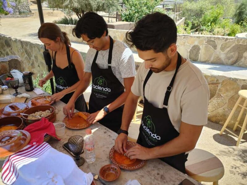 Valle de Guadalupe: Mexican Cooking at Hacienda Eco-Domes - Detailed Breakdown of the Experience