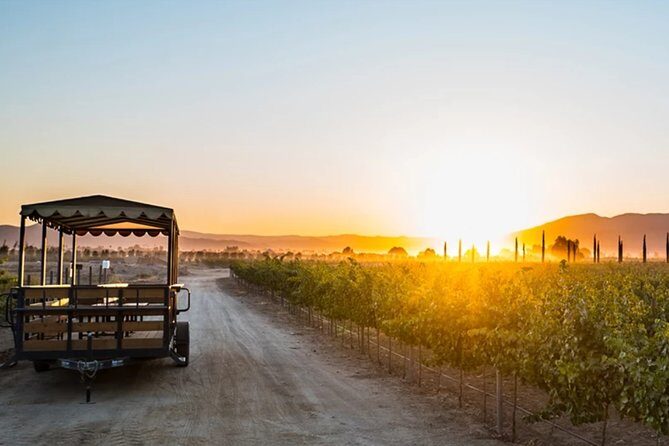 Valle de Guadalupe Premium Wine & Vineyard Wagon Tour - What to Expect from the Valle de Guadalupe Premium Wine & Vineyard Wagon Tour