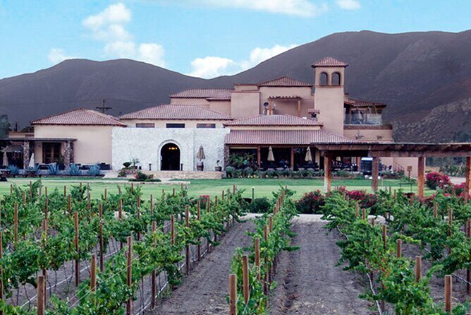 Valle de Guadalupe Premium Wine & Vineyard Wagon Tour - Authentic Insights from Reviews