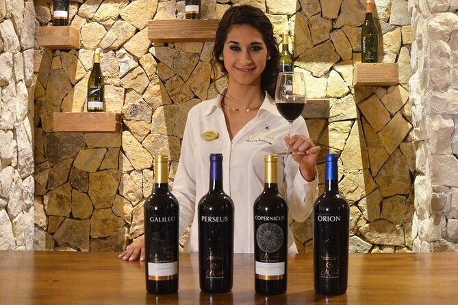 Valle de Guadalupe Premium Wine & Vineyard Wagon Tour - The Sum Up