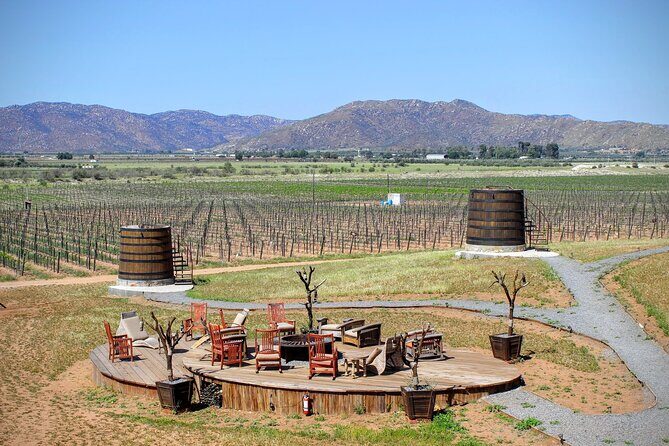 Valle de Guadalupe Private Driver and Vehicle 10 hours - Key Points