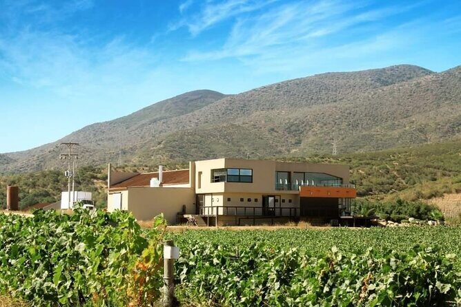 Valle de Guadalupe Private Wine Tour - An In-Depth Look at the Valle de Guadalupe Private Wine Tour